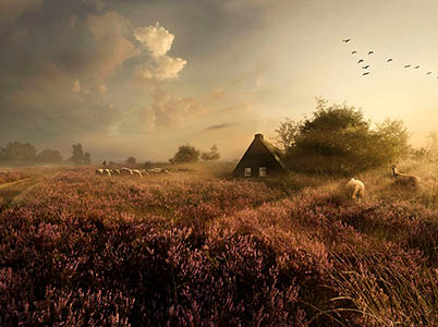 Fotografie Maartje Roos